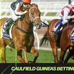 caulfield guineas bet
